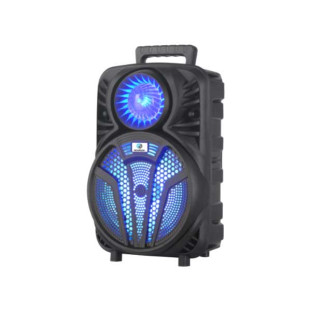CAIXA DE SOM HOOPSON PORTATIL MULTIUSO 8'' 100W RMS BLUETOOTH USB CARTAO FM FUNÇAO TWS - RBM-018 - FR