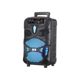 CAIXA DE SOM HOOPSON PORTATIL MULTIUSO 8'' 100W RMS BLUETOOTH USB CARTAO FM FUNÇAO TWS - RBM-019