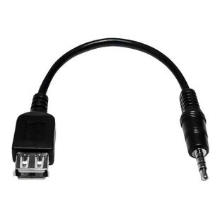 STORM CABO P2 4C X USB A FEMEA 2.0 15CM PARA PEN DRIVE - CBPD0005